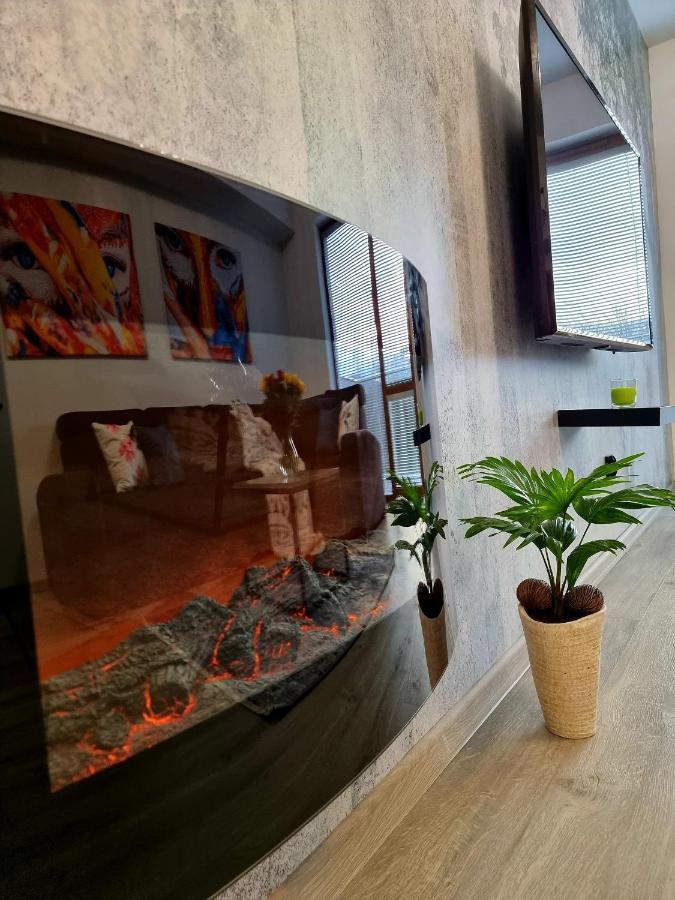 Apartament Jelonek W Karkonoszach เยเลเนียกูรา ภายนอก รูปภาพ