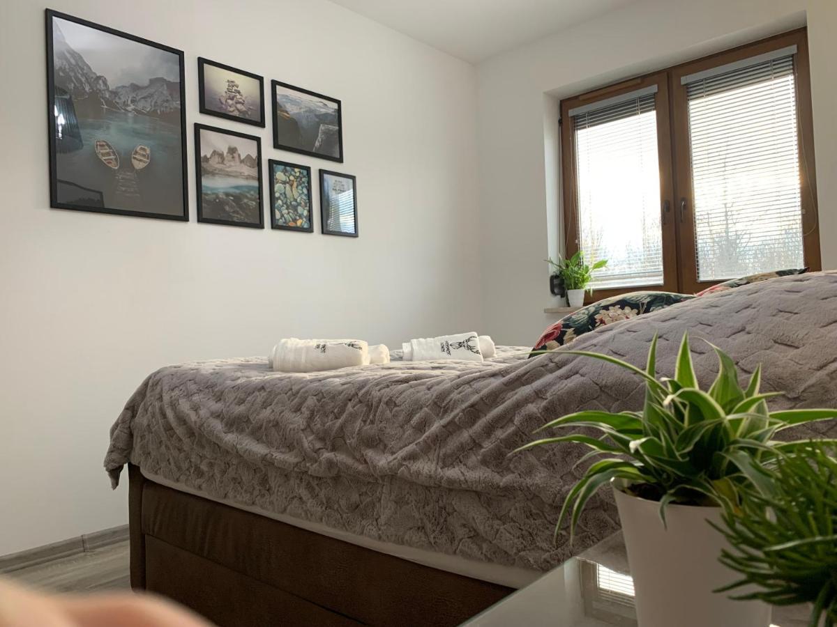 Apartament Jelonek W Karkonoszach เยเลเนียกูรา ภายนอก รูปภาพ